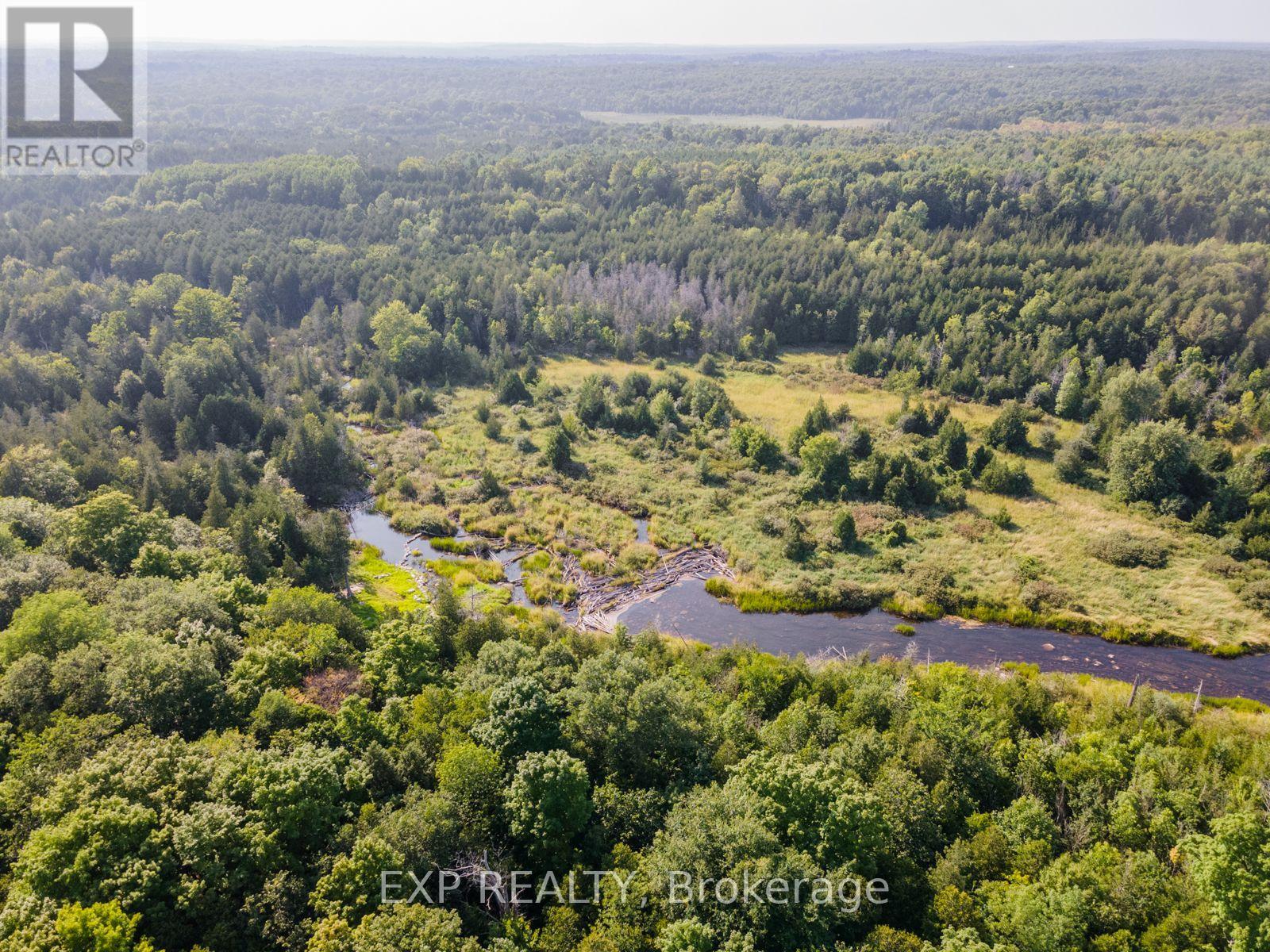 1413 Shannon Road, Tyendinaga, Ontario  K0K 2V0 - Photo 37 - X9237558